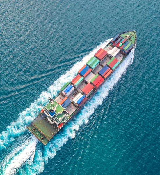 export (1)